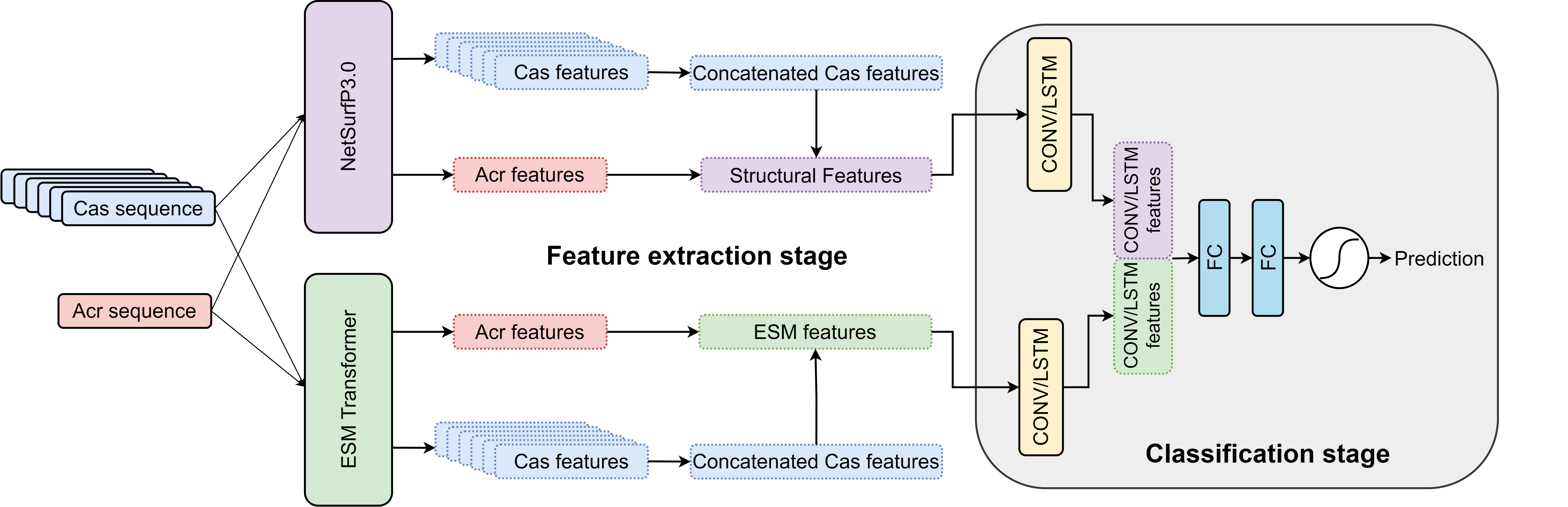 The architecture of the AcrTransAct model. The sequence features are extracted in the first stage and passed to the second stage where
                        the structural and ESM features are separately processed by CONV or LSTM layers and later
                        concatenated and fed to FC layers. The classification network generates the probability of the
                        input Acr sequence inhibiting the input CRISPR-Cas system.